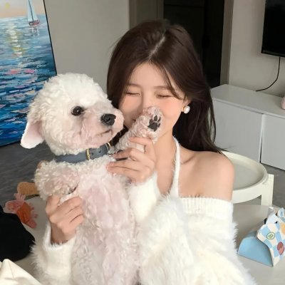 海底小纵队 第八季